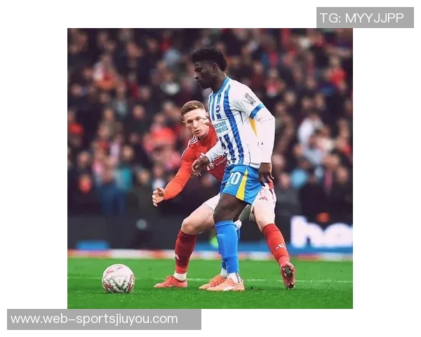 曼联计划引援中场目标锁定安德森沃顿和巴莱巴